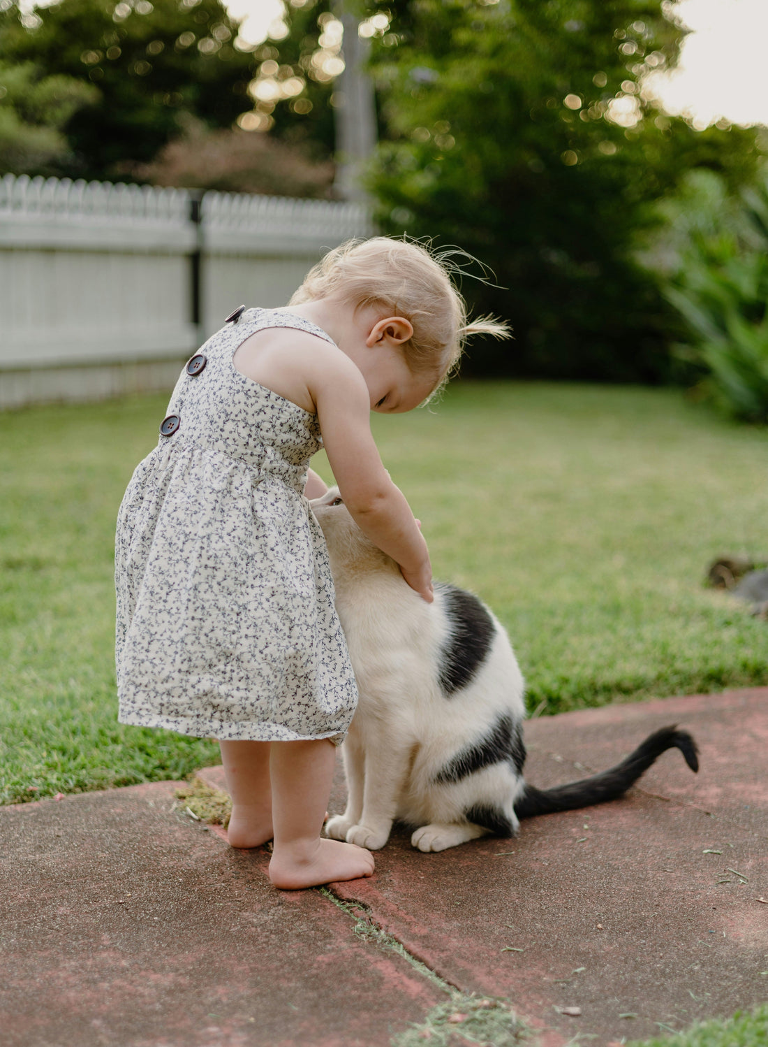 A Love Inspired by a Cat