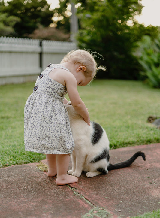 A Love Inspired by a Cat